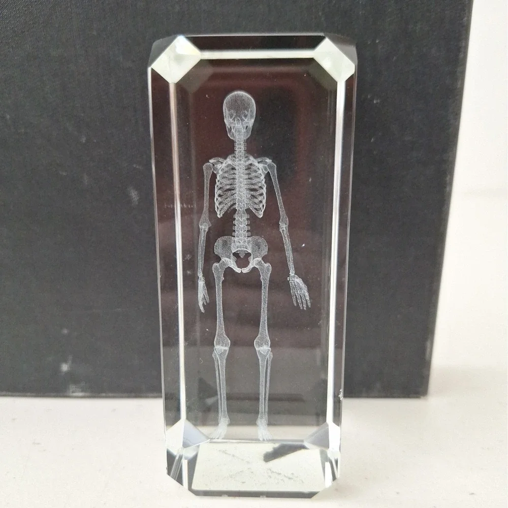 Crystal Paperweight Holographic Skeleton 3D Laser Etched Halloween Vintage 4.75